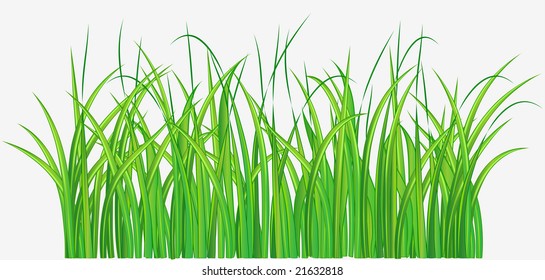 Vector illustration of Straight forward green grassy field