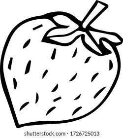 Vector illustration of strawberries drawing line food summer sketch silhouette