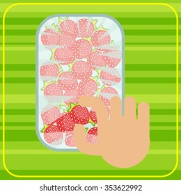 Vector illustration of the strawberries in grocery package. Right hand takes one berry rom the package. 
Healthy food. Healthy lifestyle.