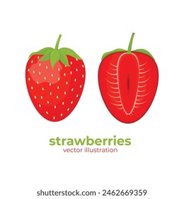 Vector illustration of strawberries, showcasing whole and halved berries in charming flat design style, perfect for fresh summer themes and healthy food concept. Vector illustration EPS 10
