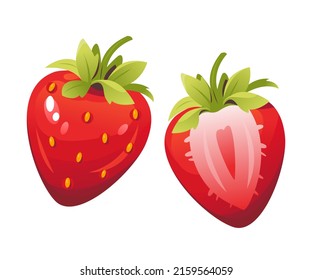 Vector illustration of strawberries. Sliced strawberries, Ripe berries