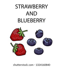 Vector illustration of strawberry and blueberry in simple modern style. Picture for food, diet, cooking or biological concept. Ingredient of KETO diet