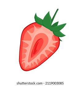vector illustration of a strawberry cut in half, isolated on a white background