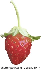 ilustración vectorial de frutos de fresa aislados en fondo blanco