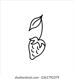 vector illustration of strawberry fruit outline