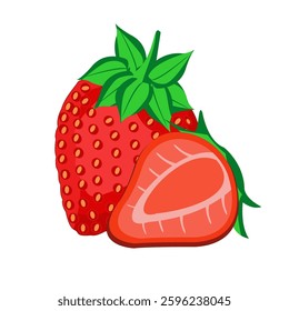 vector illustration of strawberry fruit, sliced ​​strawberry fruit, white background