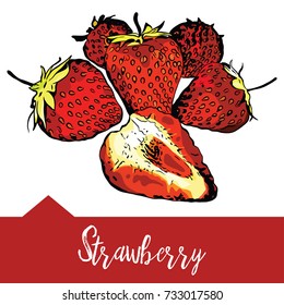 Vector illustration of a strawberry in hand-drawn graphics. The berry is depicted on a red background. Design for juice packaging or restaurant menu