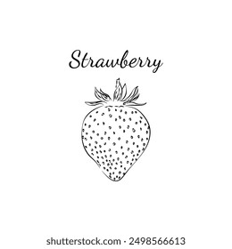 Vector illustration of a strawberry, hand-drawn. Sketch of a strawberry. Strawberry icon and logo. Vector illustration. Black and white.