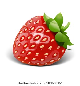 Vector illustration of the Strawberry isolated on white background