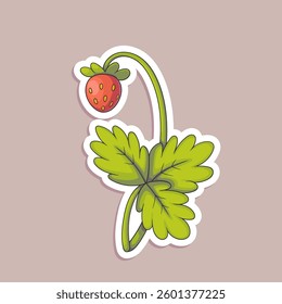 Vector illustration of strawberry isolated on white. Design of sticker with cute berry.