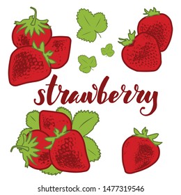 vector illustration of strawberry and leaf design isolated with lettering strawberry background white and berry EPS10
