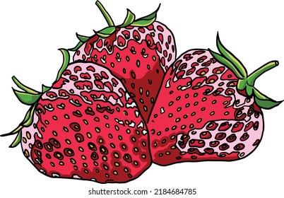 Vector illustration of a strawberry on a transparent background.