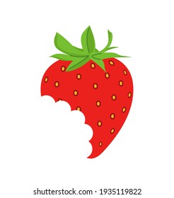 Vector illustration of strawberry. Ripe, bitten strawberry. Strawberry on white background.