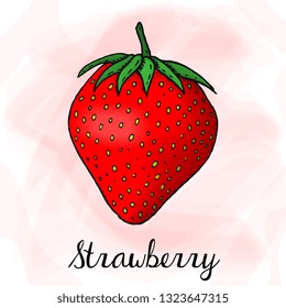 Vector Illustration of Strawberry Sketch Style