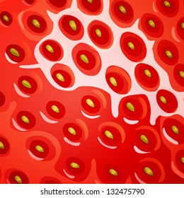 Vector Illustration of a Strawberry Texture