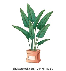 Vector illustration of strelitzia houseplant for card design, poster decoration. Potted tropical paradise plant. Home garden, potted plant, interior concept.	