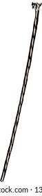 Vector illustration of a string