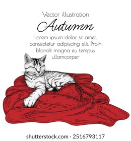 Ilustración vectorial de un gato rayado en una manta roja en estilo grabado	