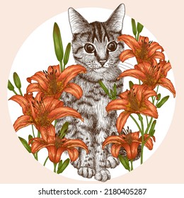 Vector illustration of a striped cat in orange lily bushes