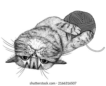 Vector illustration of a striped cat playing with a ball of thread in the style of engraving