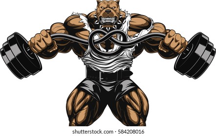 Vector illustration of a strong  pitbull with big biceps, bends the barbell, bodybuilder