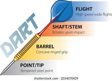 Vector Illustration Structure Dart Dart Parts Stock Vector (Royalty ...