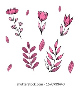  Vektorillustration. Illustration im Stil der Handzeichnung. Früchte, Blätter und Blumen in rosa mit schwarzen Konturen. Elemente zum Erstellen eines Designs.