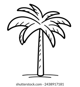 Vector illustration of a stylish coconut tree outline icon, ideal for beach themes.