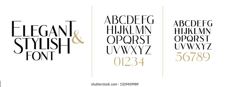 vector illustration. Stylish elegant vector composite font. set of letters english alphabet. uppercase letters, lowercase letters and numbers