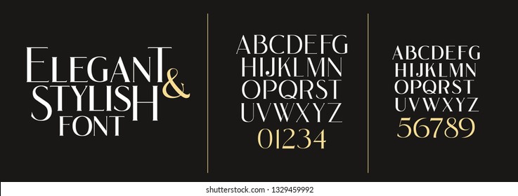 vector illustration. Stylish elegant vector composite font. set of letters english alphabet. uppercase letters, lowercase letters and numbers