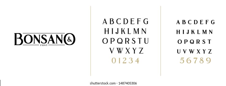 vector illustration. Stylish elegant vector composite font. set of letters English alphabet. uppercase letters, lowercase letters and numbers