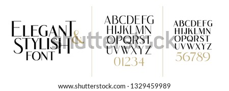 vector illustration. Stylish elegant vector composite font. set of letters english alphabet. uppercase letters, lowercase letters and numbers