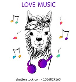 Vector Illustration. Stylish lama animal with headphones and music. Love Music - lettering quote. Greeting card design, Inspiration typography poster, t-shirt print, hand drawn style ink print. 