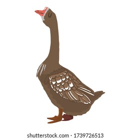 vector illustration stylization of a goose, duck, goose in profile, poultry silhouette for Internet projects