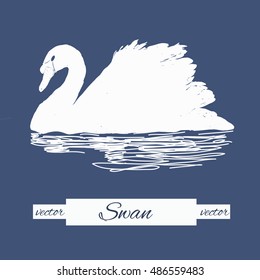 Vector illustration of stylization swan for logo design, stamp. White bird on blue background.