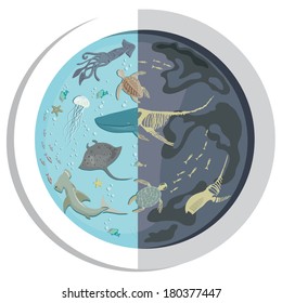Vector illustration of a stylized button or a porthole with two sides one of which is healthy ocean with lots of animals there and the other is dirty polluted ocean with oil spots and skeletons