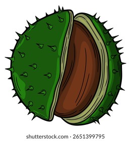 Ilustração vetorial de uma castanha estilizada em uma rebarba, apresentando uma casca verde vibrante parcialmente aberta para revelar uma castanha marrom rica, detalhada com linhas desenhadas à mão e cores arrojadas.