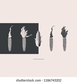 Vector illustration. Stylized corn silhouettes.  Vector card. Cover design.