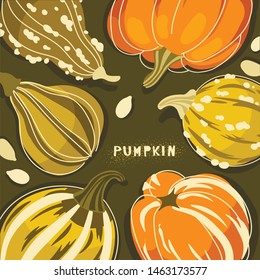 vector illustration with stylized
a depiction of various ornamental pumpkins on a natural background