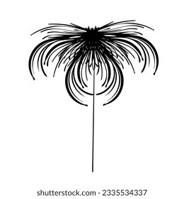 Vector illustration. Stylized floral element.