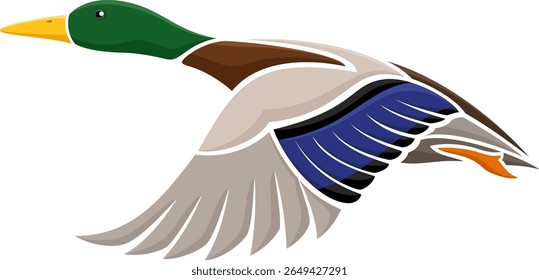 Ilustração vetorial de um pato-real voador estilizado.