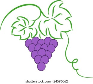 Vector Illustration of stylized grape on white background