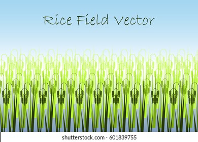 Vector illustration with stylized green rice paddy field. Background for business cards, banners, agriculture companies.
