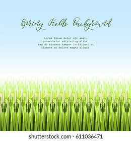 Vector illustration with stylized green rice paddy field.