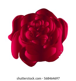 Vector illustration of a stylized purple rose, isolated.