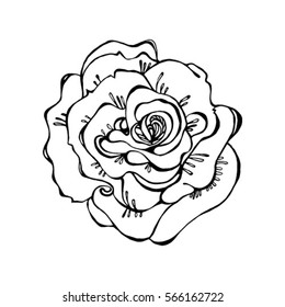 
Vector illustration of a stylized rose, isolated. Tattoo, textile printing, image coloring book