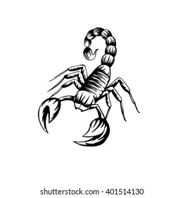 vector illustration of a stylized scorpion on a white background . Isolated silhouette