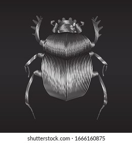 Vector illustration of stylized silver scarab bug on black background. Linear drawing.