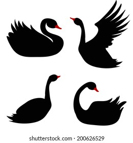 vector illustration of a stylized swan