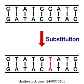 Vector illustration of substitution mutation, error during DNA replication on white background.